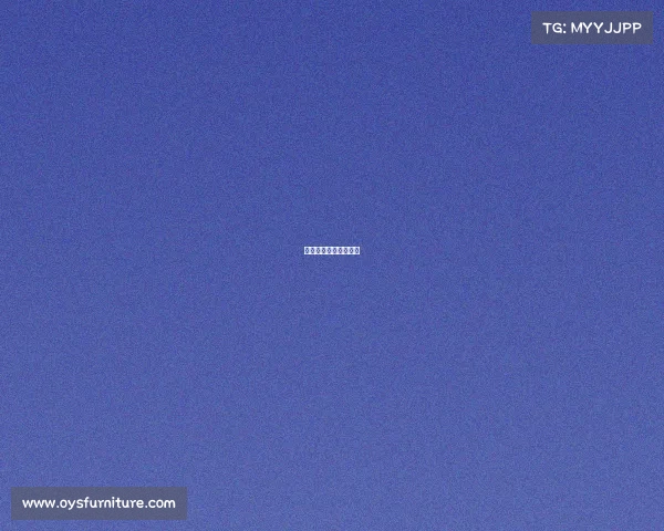 上海电子竞技运动协会