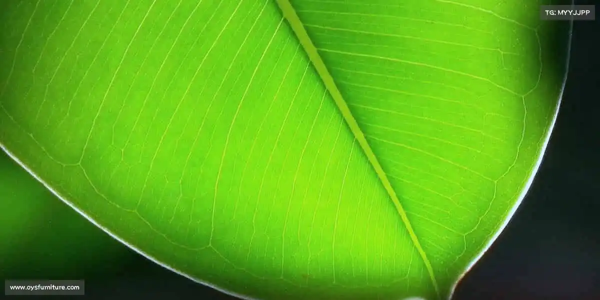 j9九游真人游戏第一品牌——🛹滑板少年，街头极限酷玩不停！